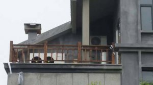 �I�݄e����ů�(xi��ng)Ŀ