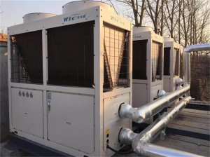 ����ɽʢ���ܷNֲ�����ů